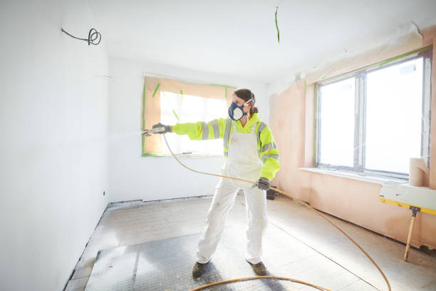 Trusted Abilene, KS Mold Removal Experts
