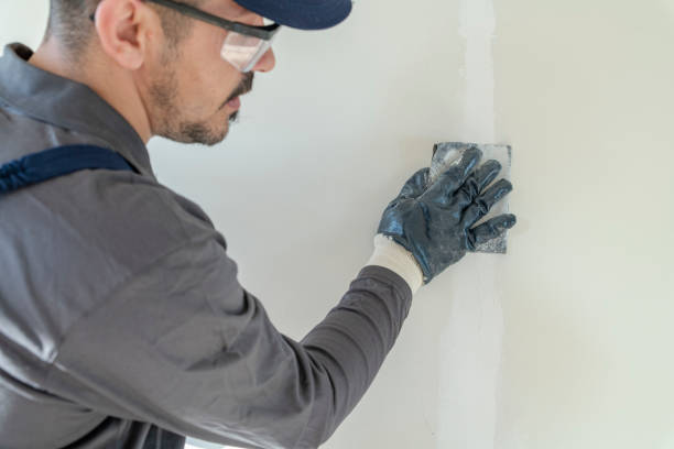 Best Mold-Related Health Consultation  in Abilene, KS