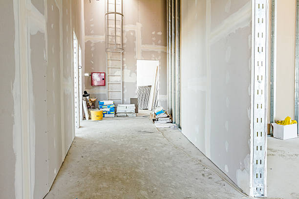 Best Mold Remediation for Healthcare Facilities  in Abilene, KS