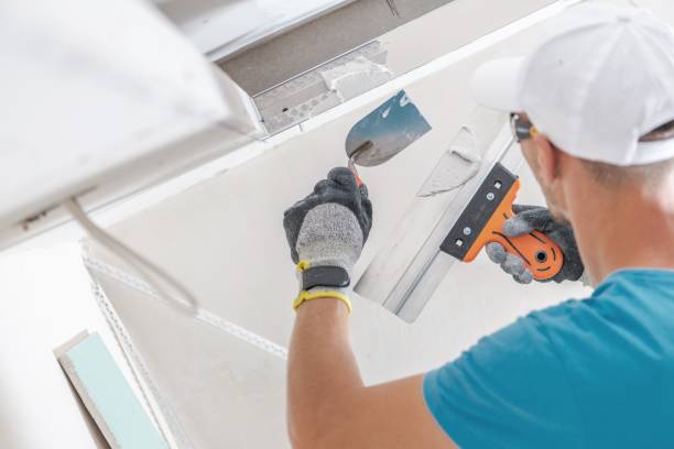 Best Emergency Mold Remediation  in Abilene, KS